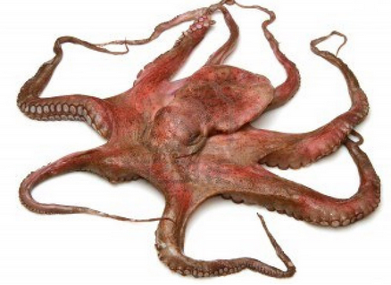 Immagine Arrotolato - P&P Mar